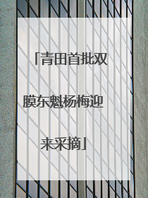 青田首批双膜东魁杨梅迎来采摘